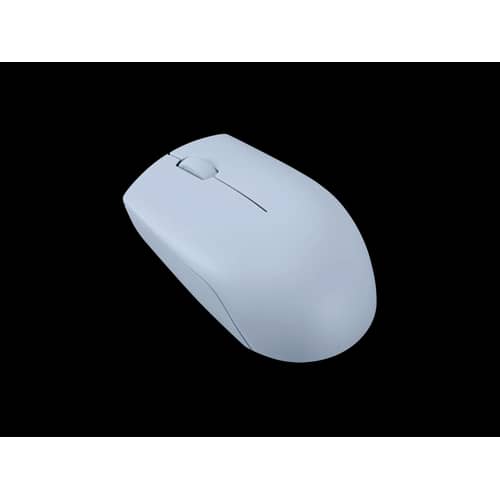 Mouse Lenovo Wireless 300 Compact W/O Ba