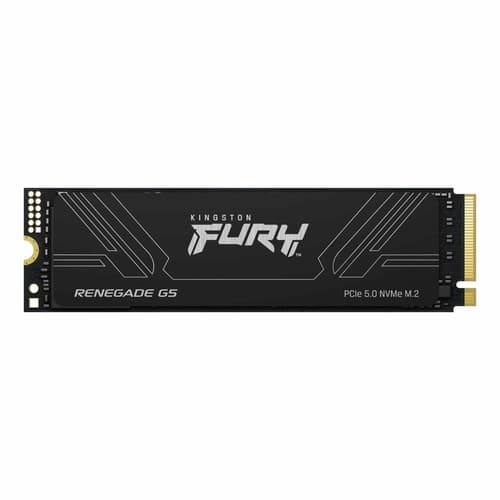 Disco Interno SSD KINGSTON Reneg 2TB M.2 G5 Nvme